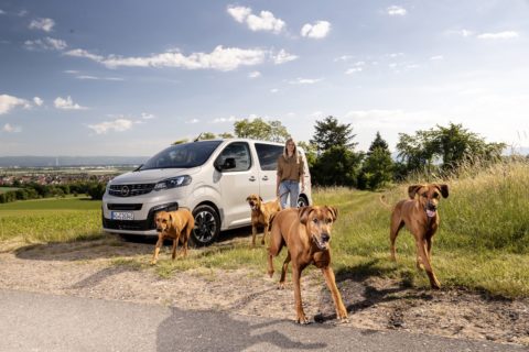 Opel Zafira-e Life e la vocazione per il trasporto dei cani 1