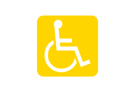 Disabilità: persone con disabilità alla guida