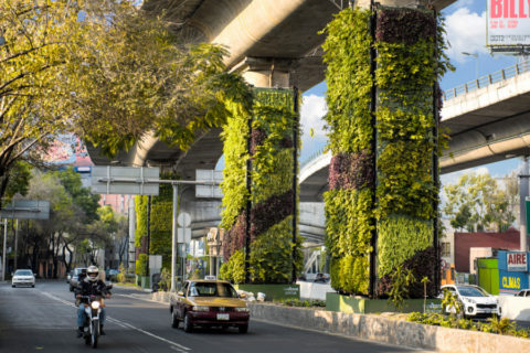 Progetto Via Verde - Città del Messico 3