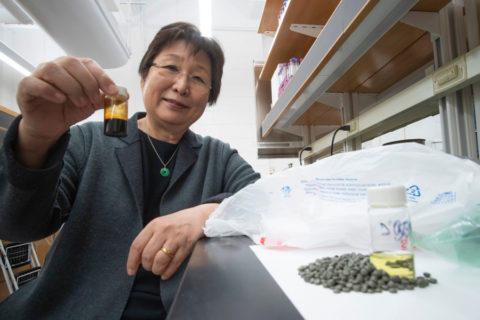 Linda Wang - Purdue University - La plastica si trasforma in carburante