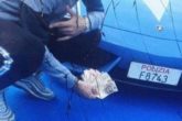 Selfie con soldi e droga davanti alla Lamborghini della Polizia, arrestati