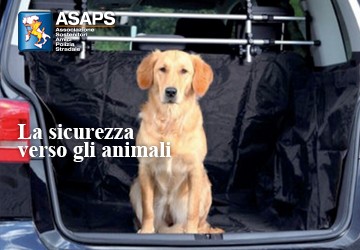La sicurezza verso gli animali su strada, la campagna di ASAPS