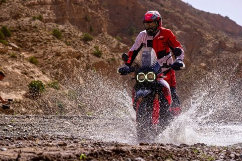 Ducati DesertX Rally, votata al fuoristrada 170