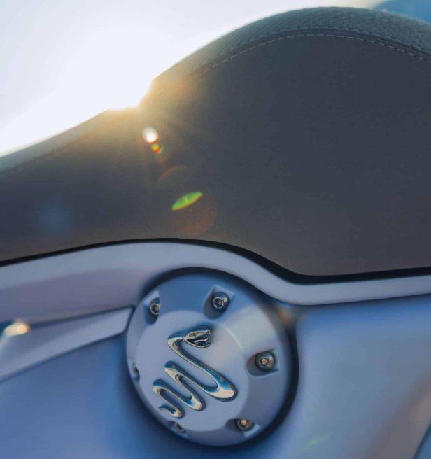 Vespa 946 Snake edizione limitata ed esclusiva 10 scaled e1736773031113 616x656