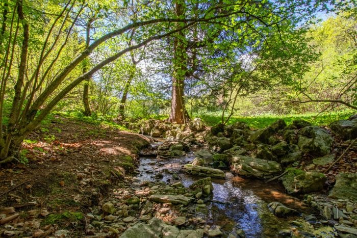 Primavera 2025 in Paganella, c'è tanto da fare 2 VISIT PAGANELLA 1. Parco del Respiro Ph Martina Sgorlon 6 700x467