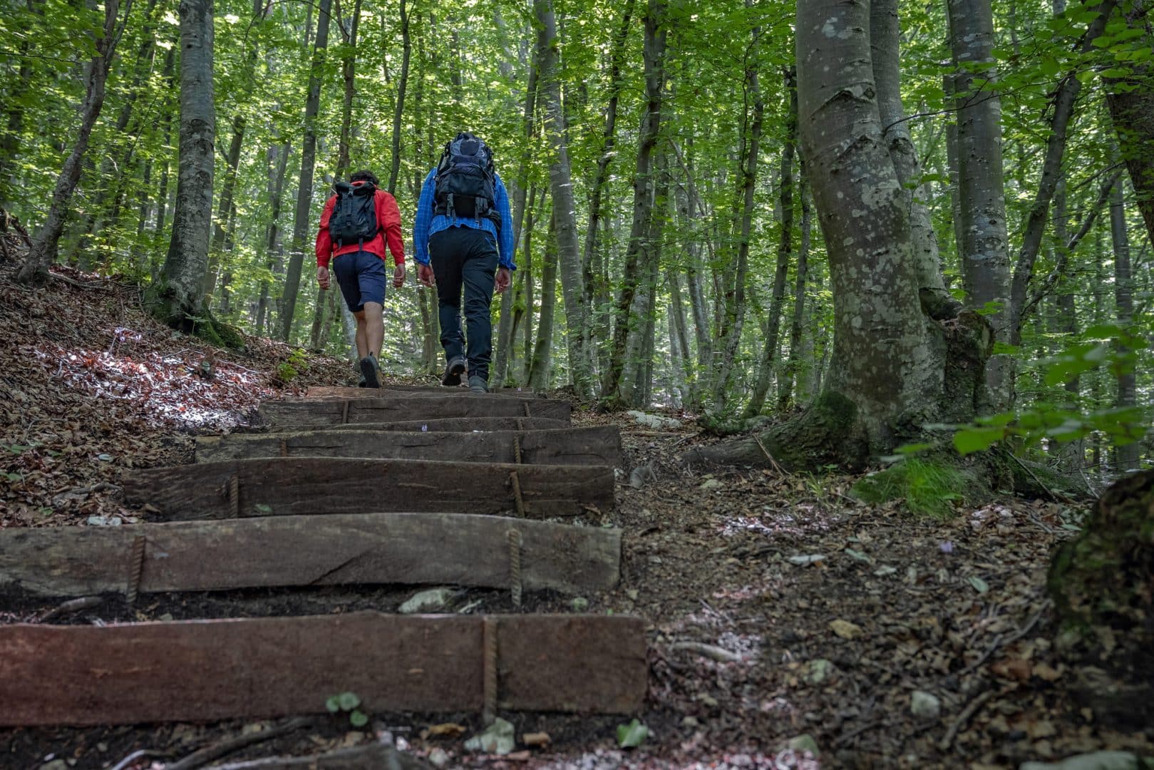 VISIT PAGANELLA 1. Parco del Respiro ph.Tommaso Pini 1 1619x1080