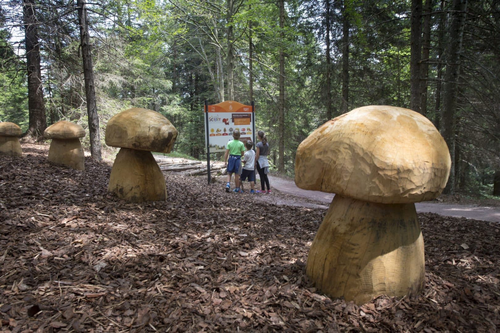 VISIT PAGANELLA 3. Sciury 2 Frizzera 9 1620x1080