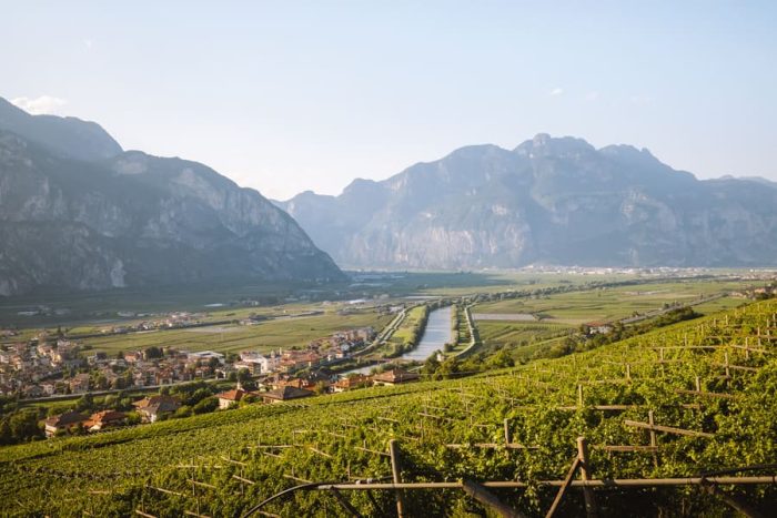 Primavera 2025 in Paganella, c'è tanto da fare 5 VISIT PAGANELLA 4. Piana Rotaliana Konigsberg Ph. Nicola Cagol 700x467