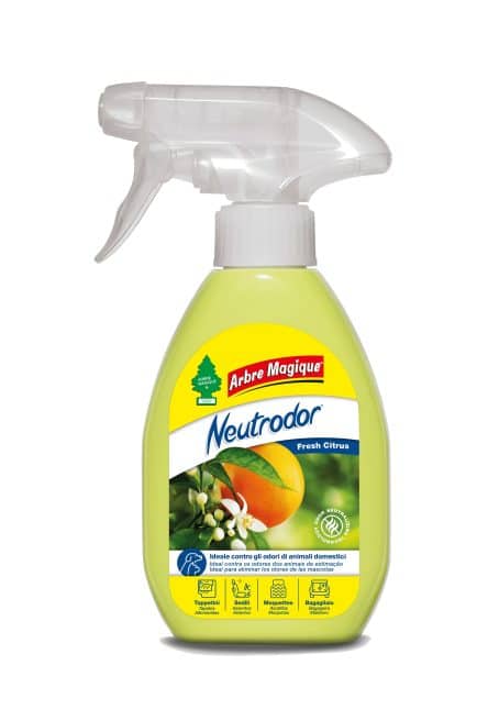 Arbre Magique novita 2025 NEUTRODOR Fresh Citrus 454x656