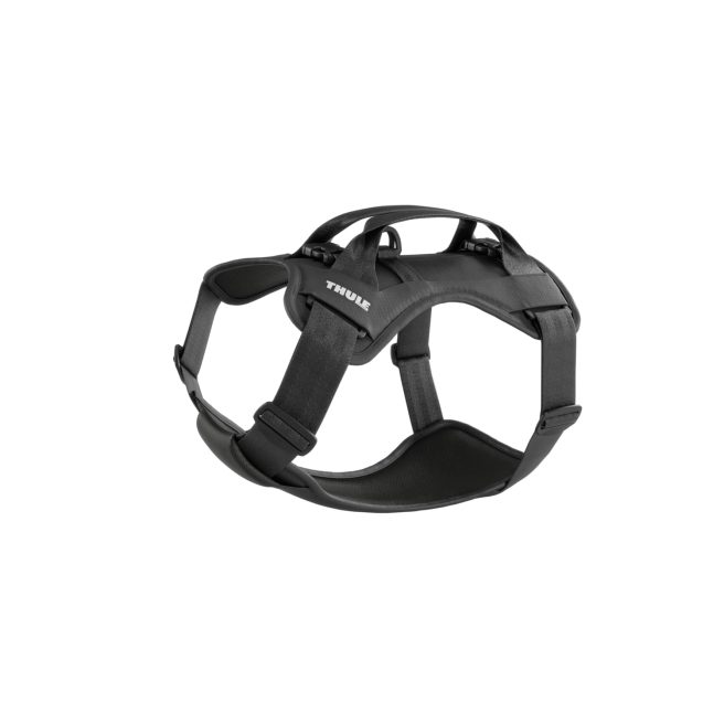 Thule Cappy, sicurezza e comfort per ogni viaggio del cane in auto 5 Thule Cappy