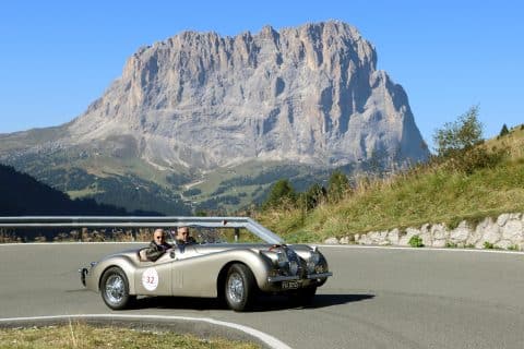 ASI Stella Alpina 2024 8 480x320