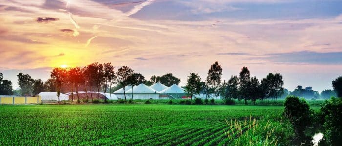 Biometano, Federmetano chiede incentivi per la mobilità verde 3 snam biometano