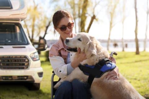 Cani e disabilita camper 480x320