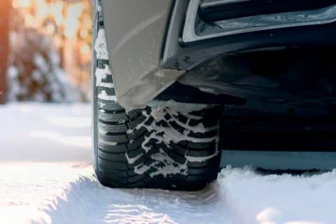 Falken e1758303387580 480x320