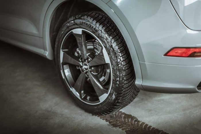 Goodyear Vector 4Seasons Gen-3, cresce la gamma del formidabile 4 stagioni 3 Goodyear Vector 4Seasons Gen 3 2 700x467