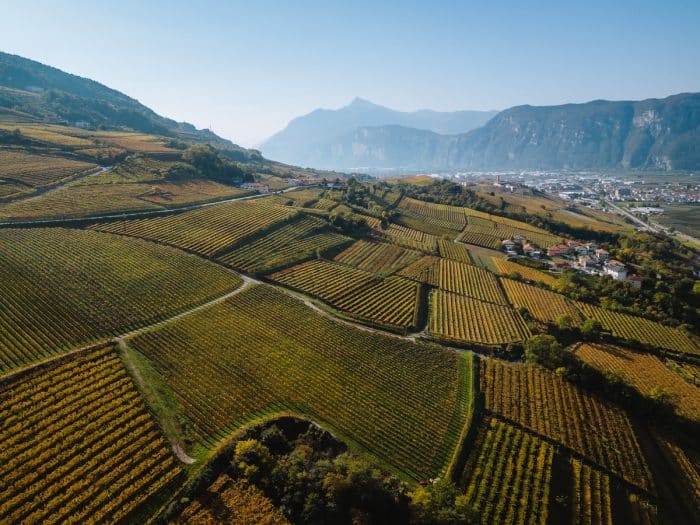 VISIT PAGANELLA Autunno Rotaliano Ph. Nicola Cagol 19 700x525