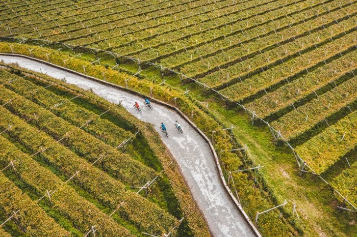 VISIT PAGANELLA Giro del Vino 50 Ph. Mathaus Gartner 7 700x466