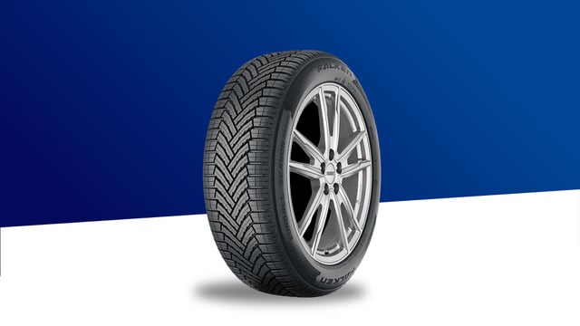 Falken EUROALL SEASON AS220