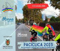 Paciclica 2025 FIAB 