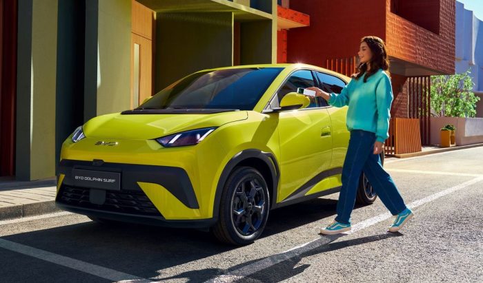 Dolphin Surf VDL 700x411