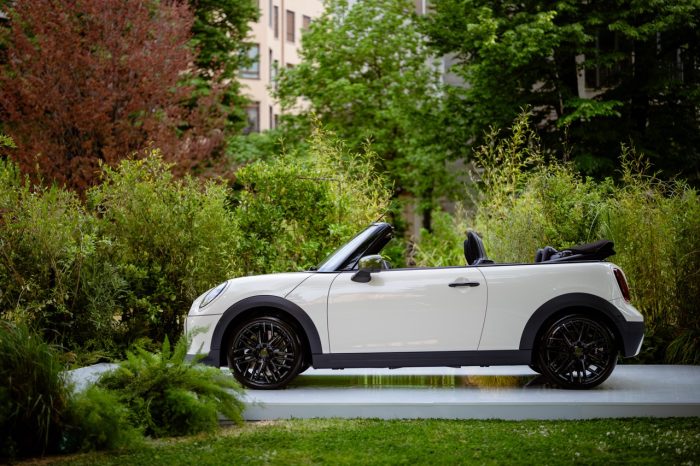 MINI e Paul Smith reinventano il design con “A Garden of Curiosity” 10 MINI e Paul Smith reinventano il design con “A Garden of Curiosity” 61