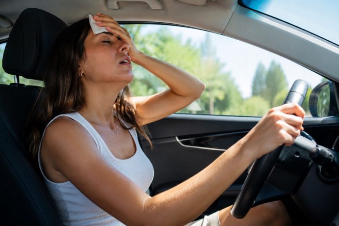 Caldo in auto i consigli per la sicurezza e il benessere 2 700x466