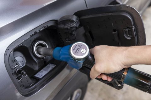 carburante rinnovabile