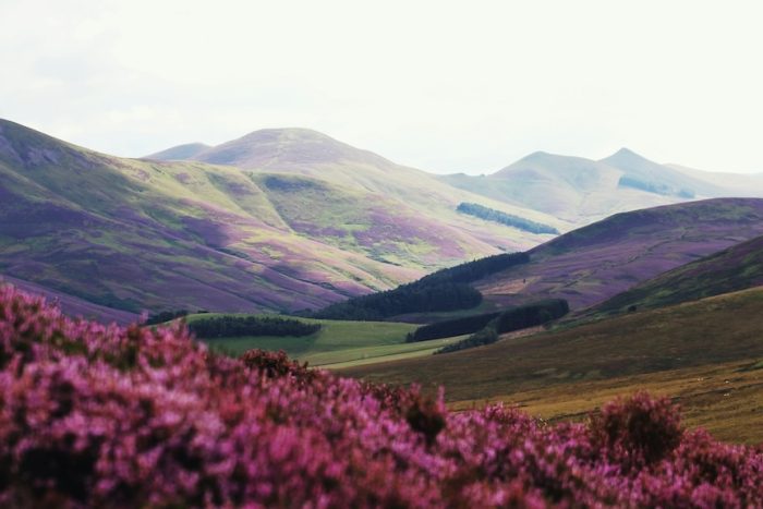 Camper 2026, 6 rotte da sogno e fuga da Ferragosto 4 CamperDays Highlands Courtesy of Unsplash 700x467