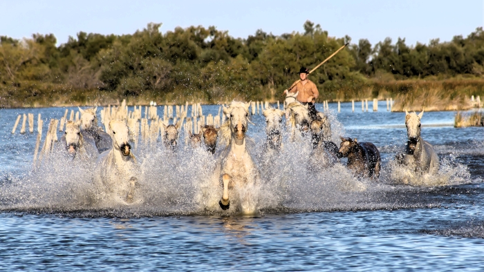 Come vivere l'estate in camper, da Elodie a Piero Pelù: le scelte 5 vip 7 Come vivere lestate in camper da Elodie a Piero Pelu le scelte 5 vip camargue web
