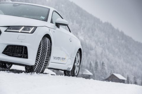 DUNLOP WINTER SPORT 5