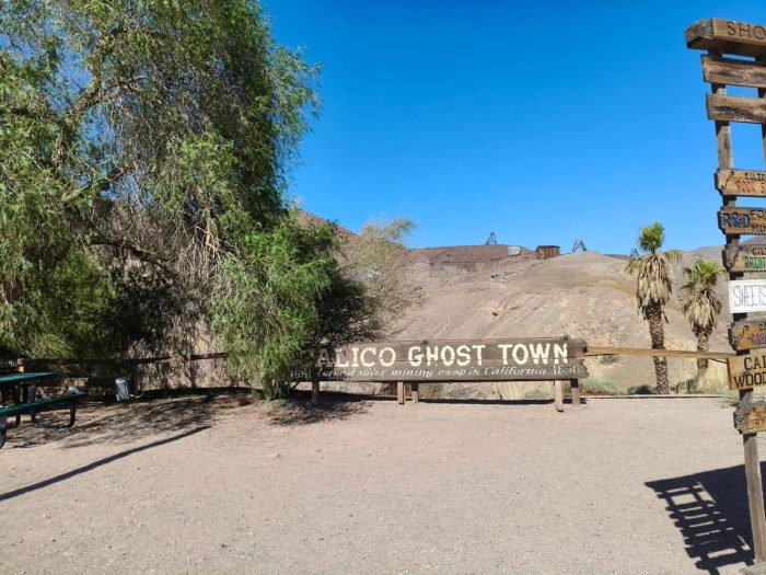 Courtesy of Eleonora Bresesti Calico California 700x525